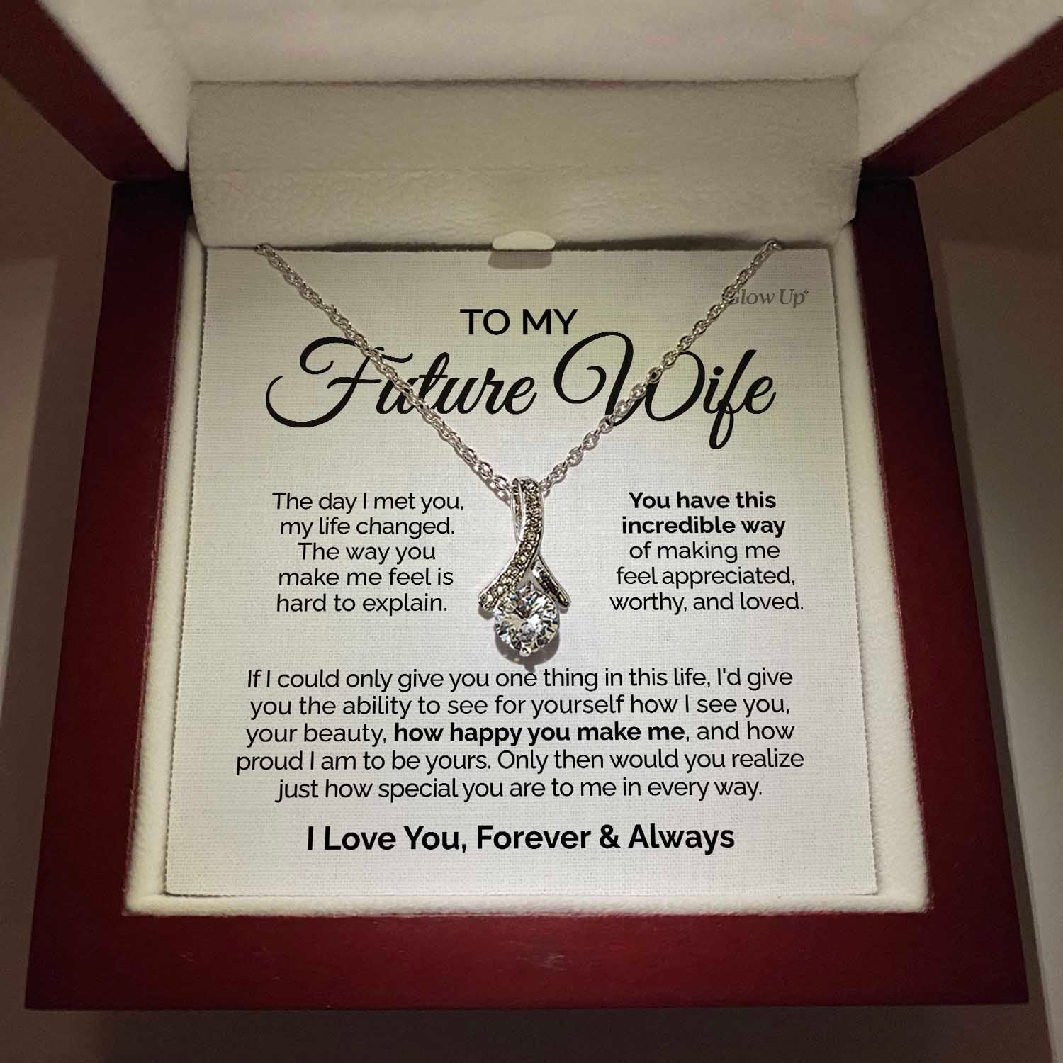 ShineOn Fulfillment Jewelry 14K White Gold Finish / Luxury Box To my Future Wife - The day I met you - Ribbon Necklace