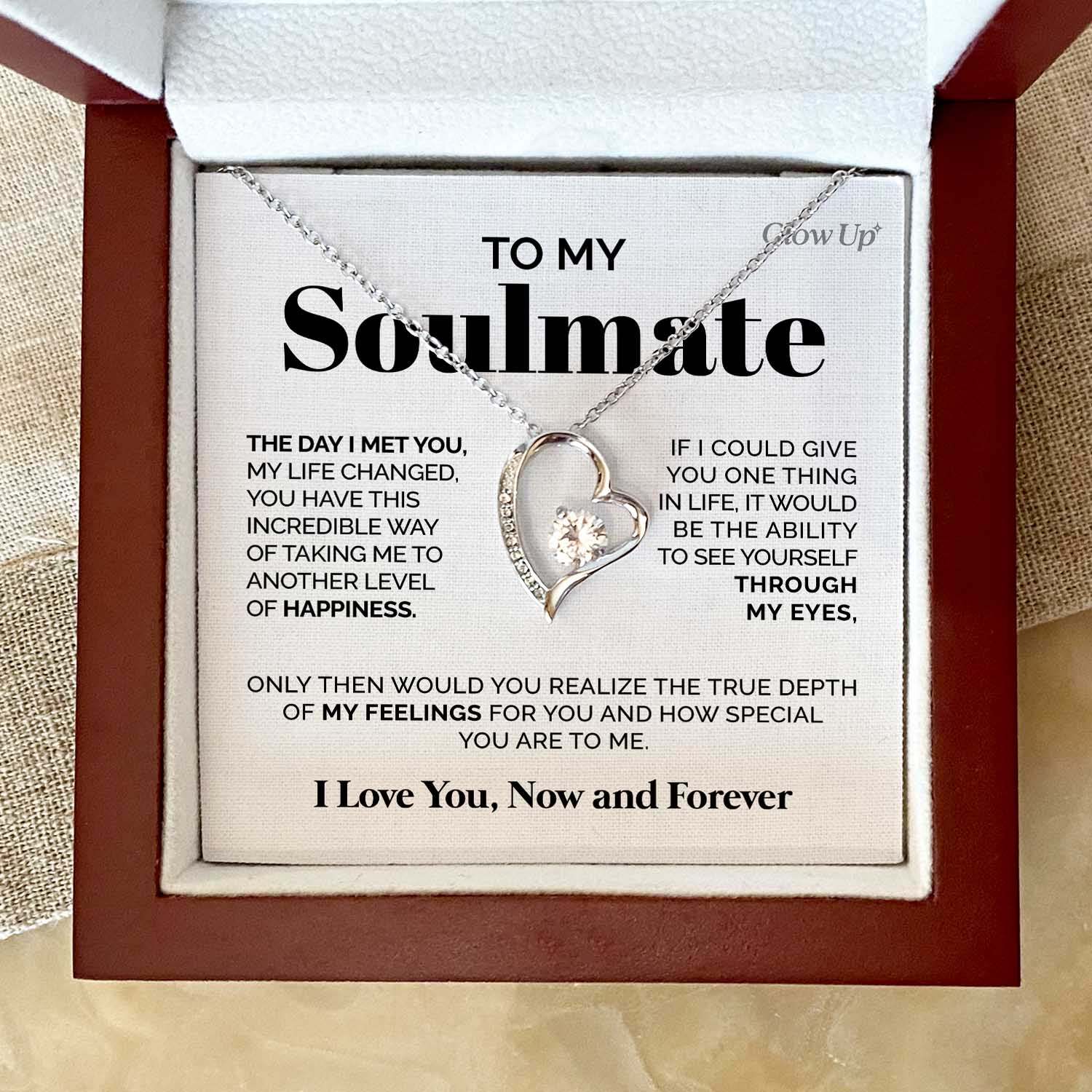 ShineOn Fulfillment Jewelry 14k White Gold Finish / Luxury LED Box To my Soulmate - The day I met you - Forever Love Necklace