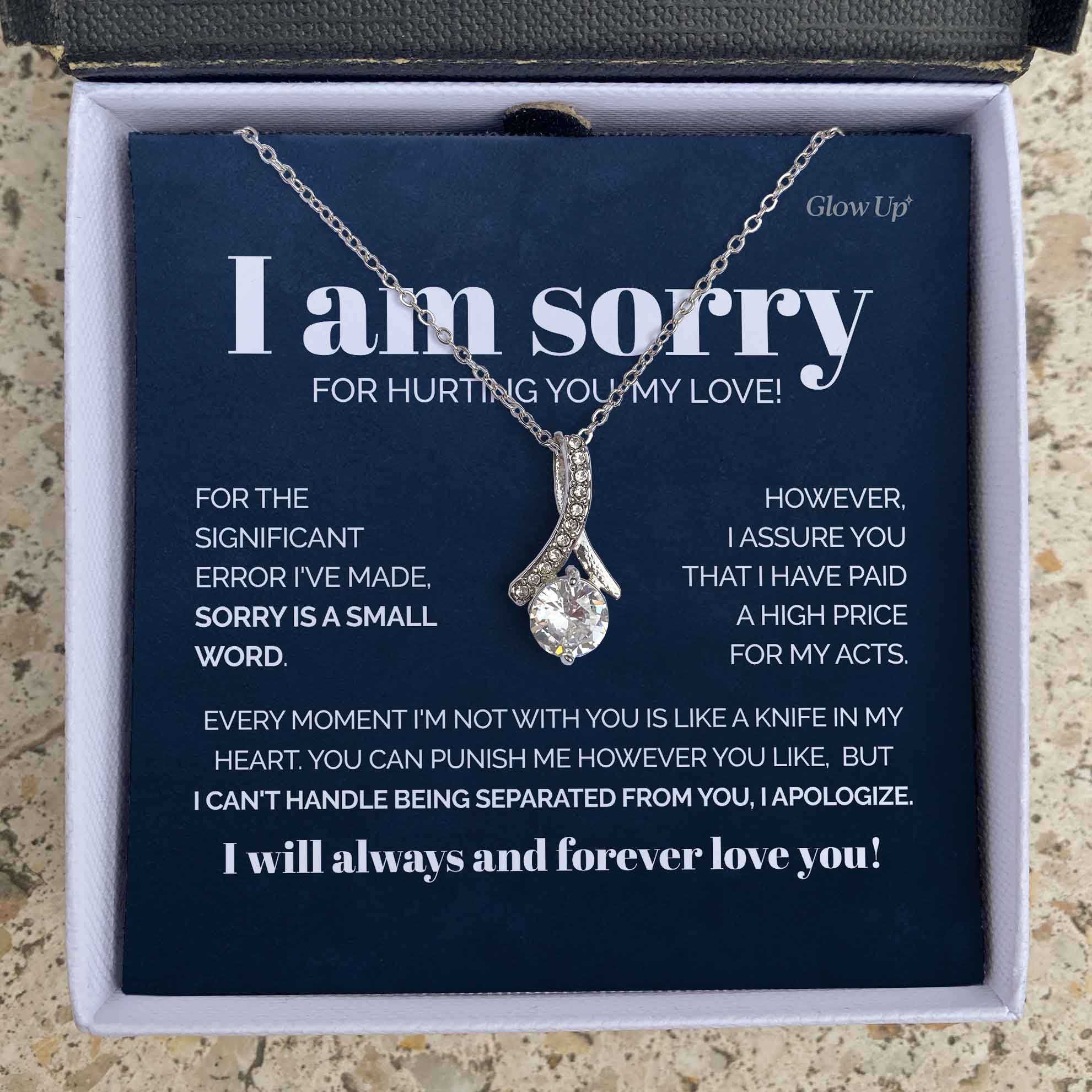 ShineOn Fulfillment Jewelry 14K White Gold Finish / Two-Toned Box To my Soulmate - I'm sorry for hurting you - Ribbon necklace